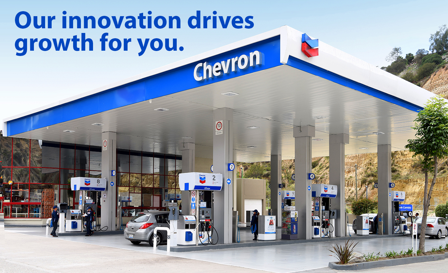 Chevron-canopy-w-text